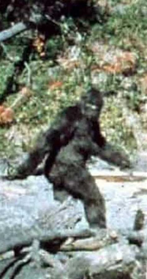 The Patterson-Gimlin Film, the Hominid seen in it, the remarkably intense debate it has provoked, and the solution to the mystery. This book offers a truly unique analysis of the famous Patterson-Gimlin Film (the “Bigfoot” film, as it is also known), addressing the question of hoax or fraud from the perspective of a professional makeup …